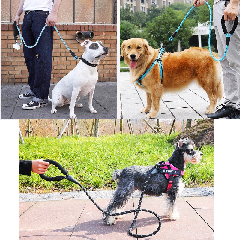 150-200-300cm-Strong-Dog-Leash-Pet-Leashes-Reflective-Leash-For-Big-Small-Medium-Large-Dog-1.jpg