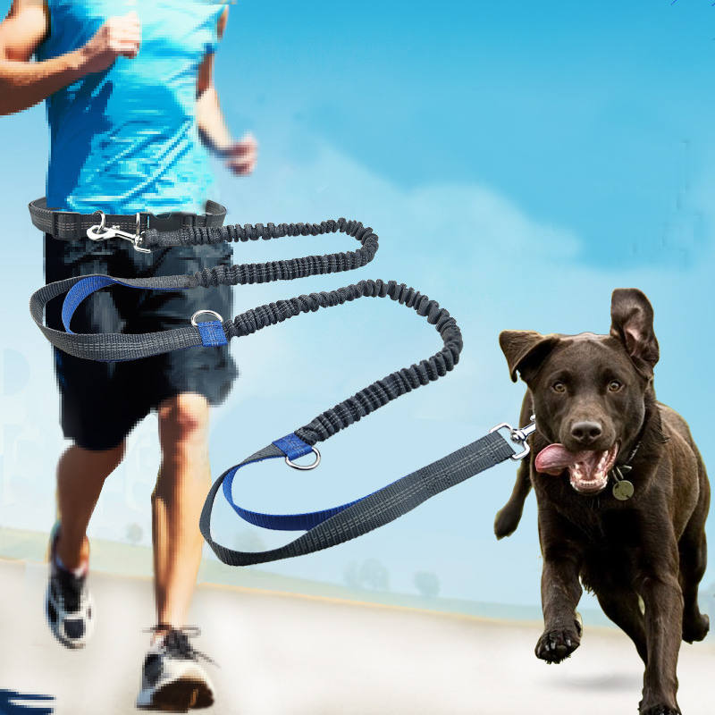 Dog-Running-Comfortable-Leashes-Dog-Accessories-Leash-For-Dogs-Supplies-Chiens-Traction-Rope-Pet-Elastic-Dog.jpg