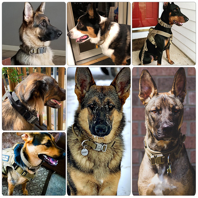 Tactical-Dog-Collar-Free-Custom-Name-Durable-Adjustable-Nylon-Military-For-Medium-Large-Pet-German-Shepherd-5.jpg